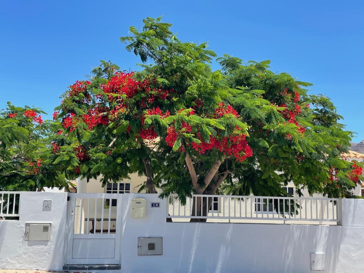 טרחלחו Casa Enamorado מראה חיצוני תמונה